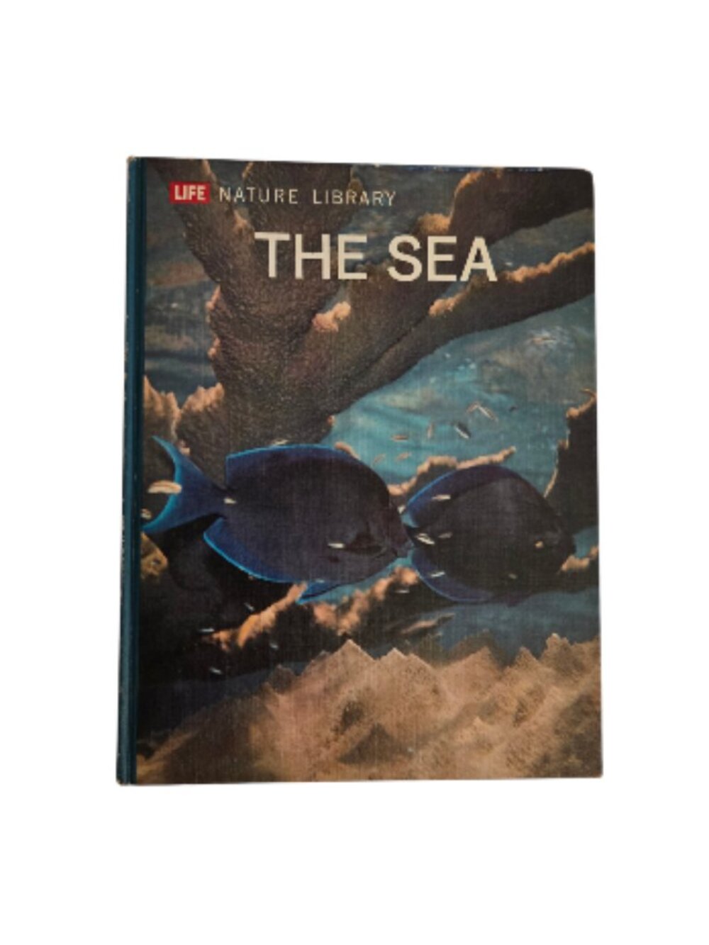 1963 Life Nature Library The Sea Leonard Engel Vintage Hardcover Ocean Book